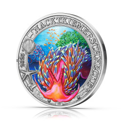 Leuchtende Meeresbewohner -...