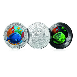 Leuchtendes Meeresleben -...