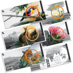 Flat Bar - Subtropische...