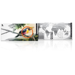 Flat Bar - Subtropische...