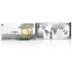 Flat Bar - Subtropische...